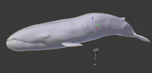Quality Blender Whale preview image